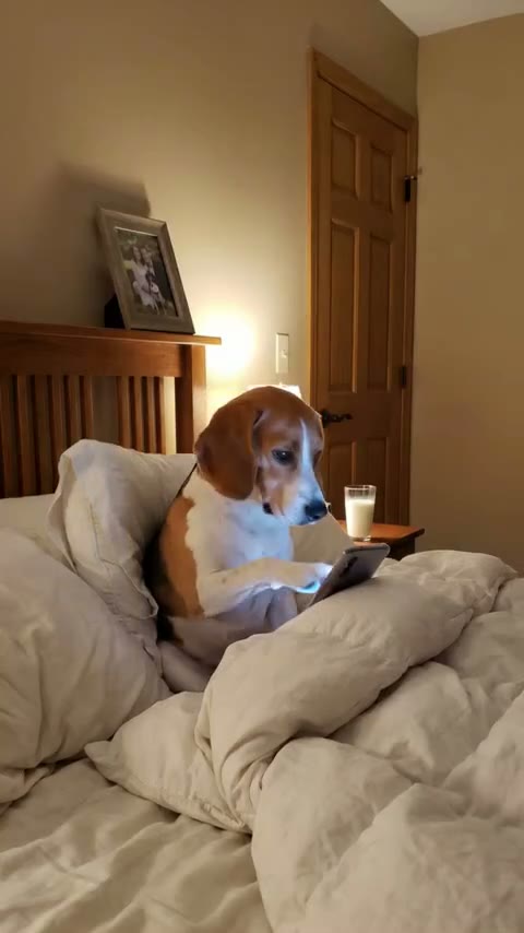 Fingiendo dormir